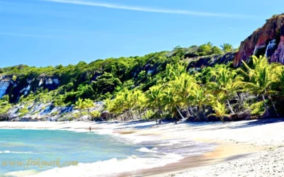 تاریخ برزیل از گذشته تا به امروز